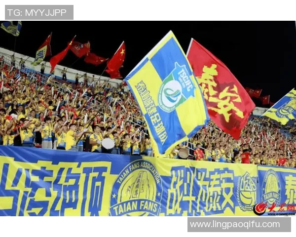 愤怒球迷赛场突袭痛殴足球明星引发体育精神与安全底线大讨论